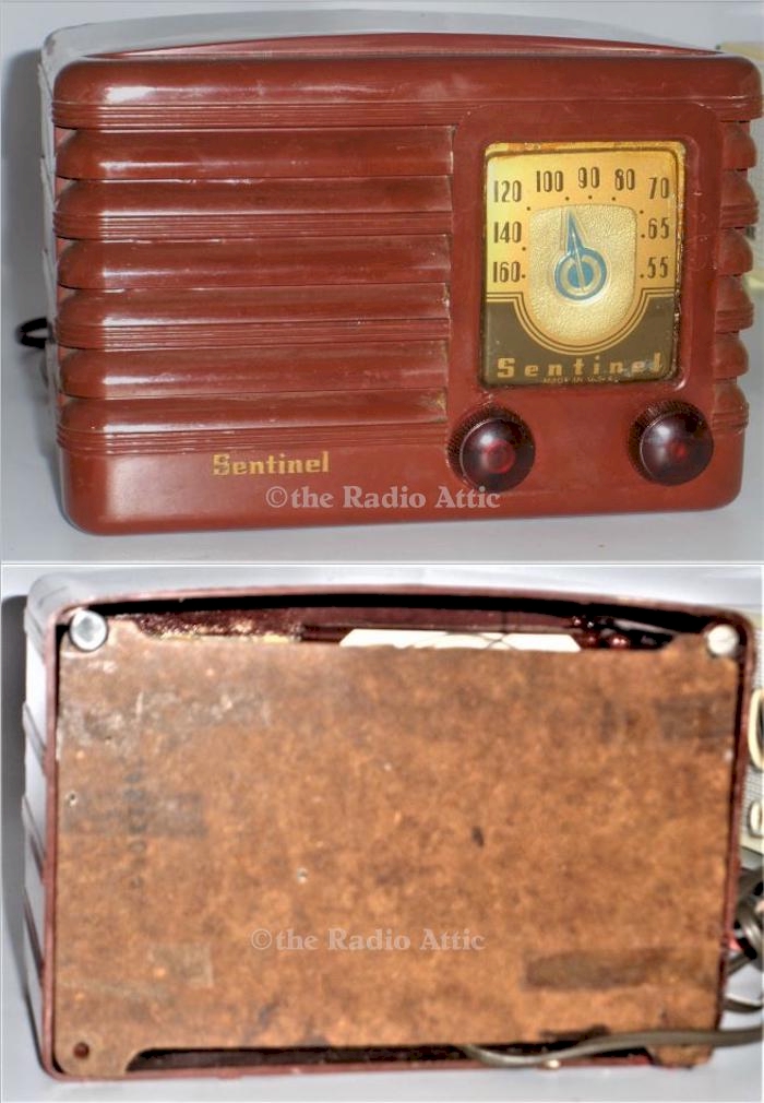 Sentinel 309 